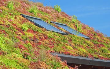 West Harton living roof systems