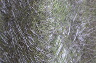 West Harton fibreglass roof work